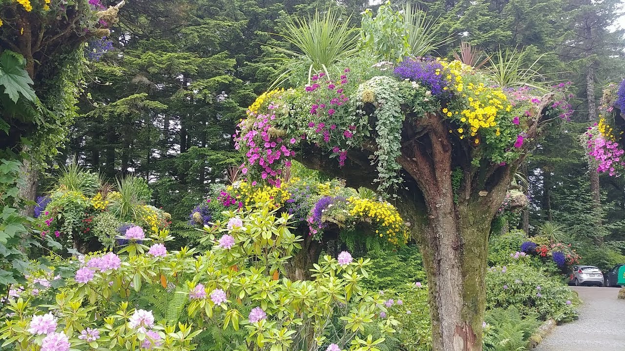 Things To Do In Juneau Glacier Gardens Rainforest Excursion